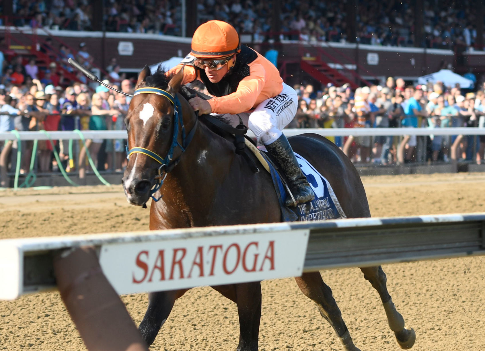 Jim Dandy